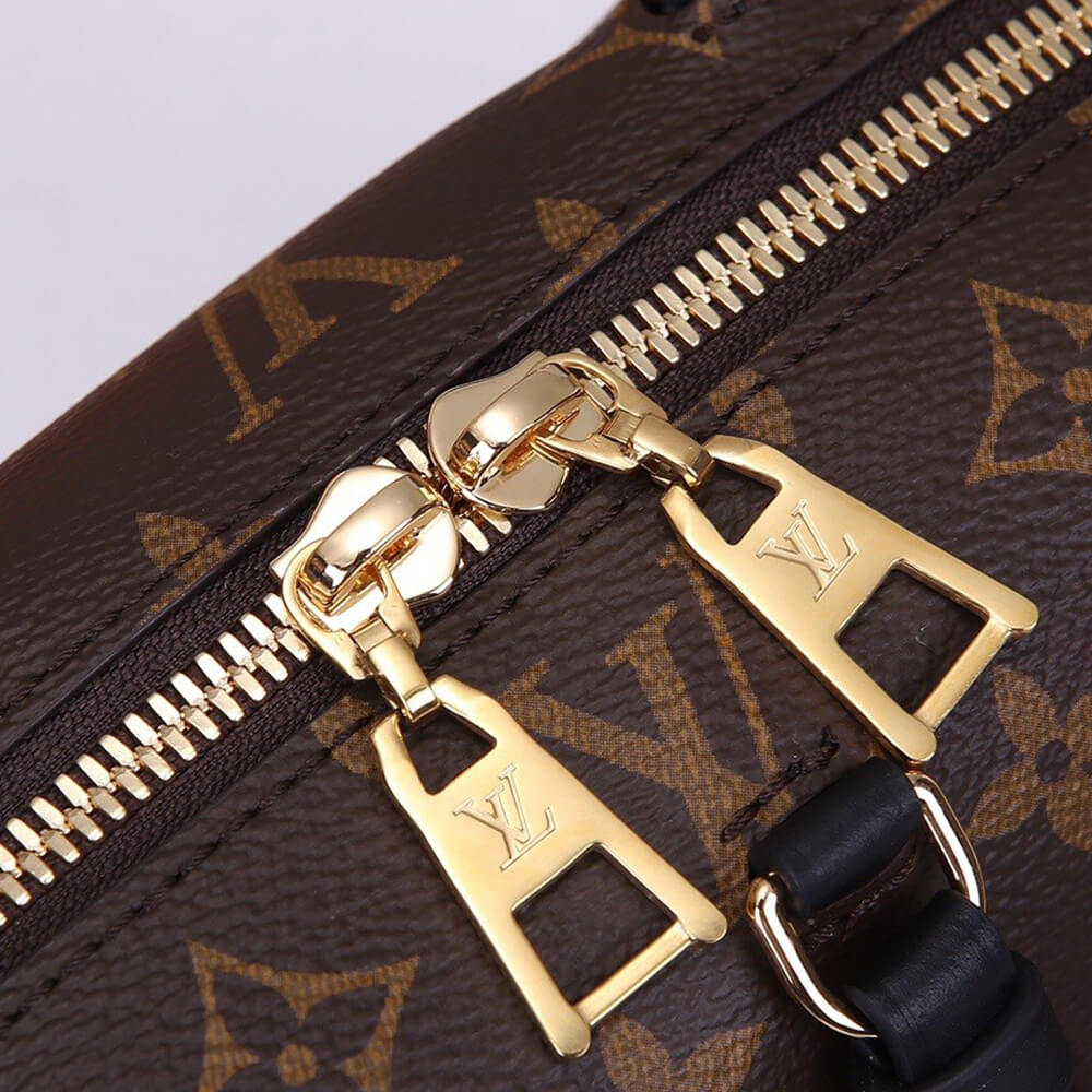 LV Petite Malle Souple Handbag