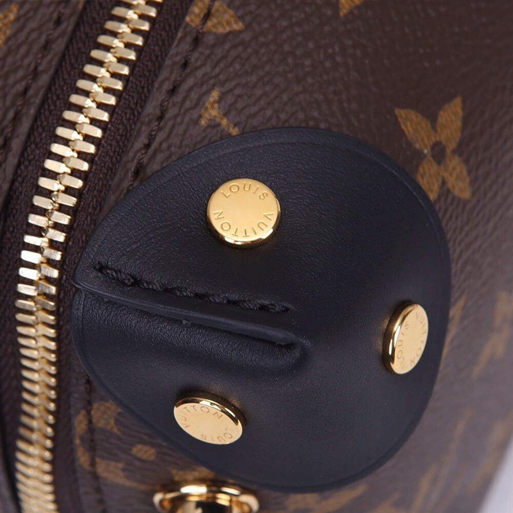 LV Petite Malle Souple Handbag